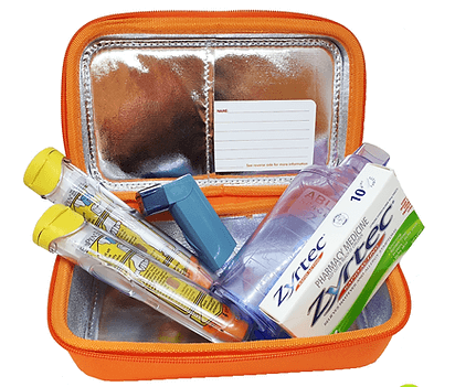 Large insulated epipen case